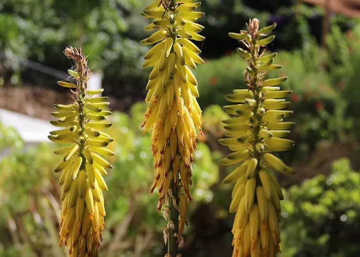 Molino De Saladilla Vendégház