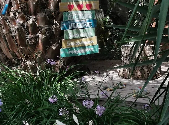 Molino De Saladilla 4* Coin